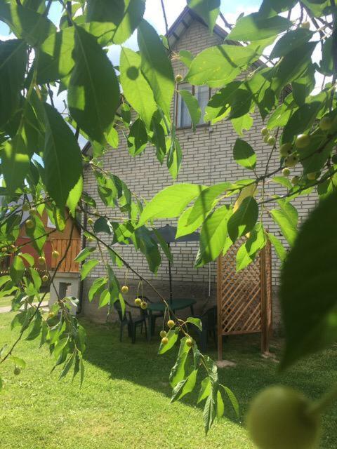 Apartament Pod Wiśnią Supraśl Zewnętrze zdjęcie